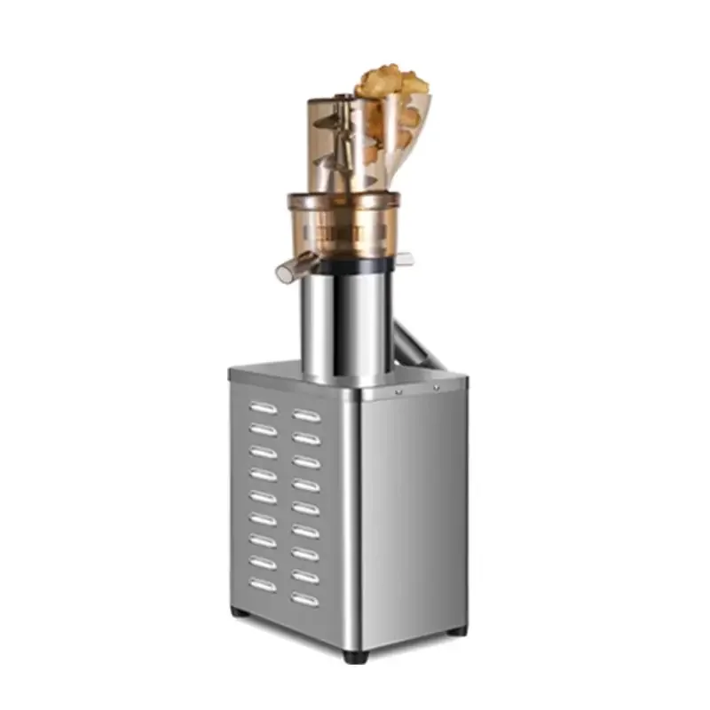 Cold Press Juicer - Professionele Juicer Extractor Machine met Koude