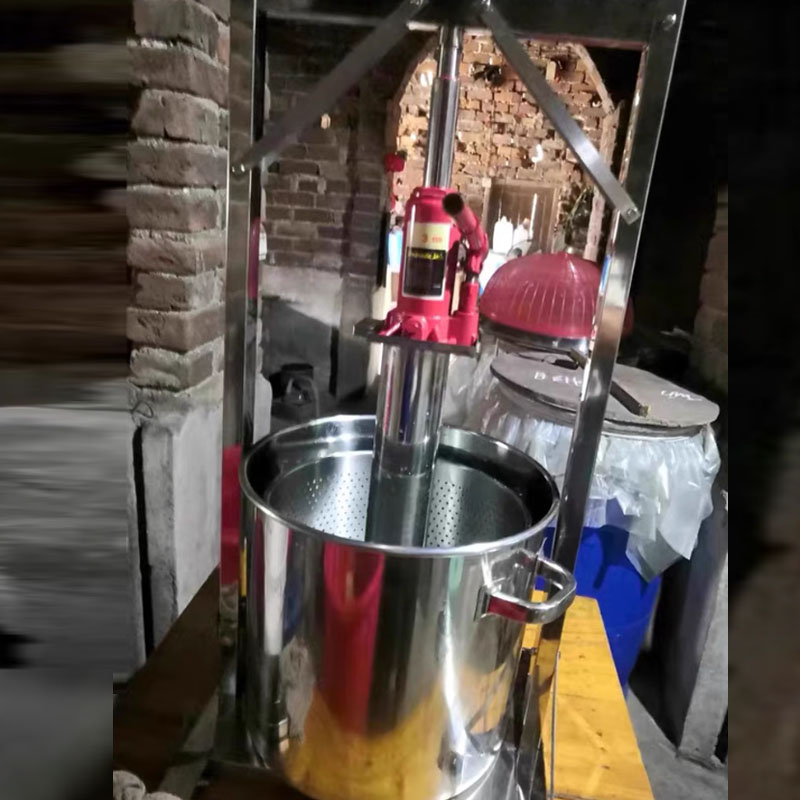 Cold Press Juicer - Fruitpers voor koudpersen, 304 roestvrij staal,