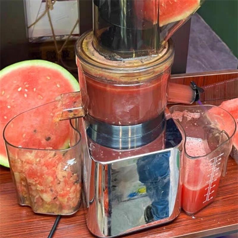 Cold Press Juicer - 500W Commerciële en huishoudelijke slowjuicer met