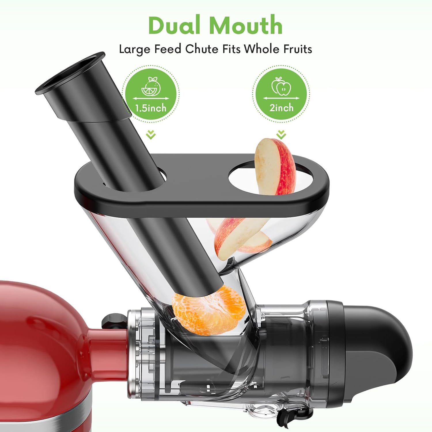 Kauwende sapcentrifuge-aanslui - Cold Press Juicer recensie en prijs