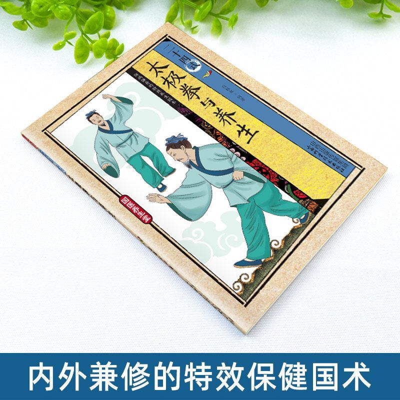 24 stijlen Tai Chi en gezondhe - Health & Wellness Rehab recensie en prijs