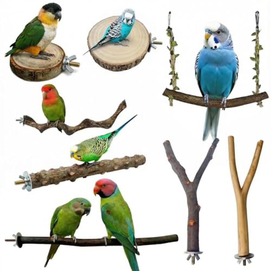 8 stuks natuurlijke houten vog - Health & Wellness Rehab recensie en prijs