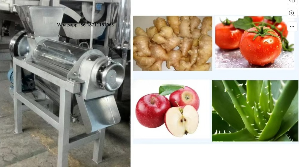 Industriële koude pers sapcent - Cold Press Juicer recensie en prijs