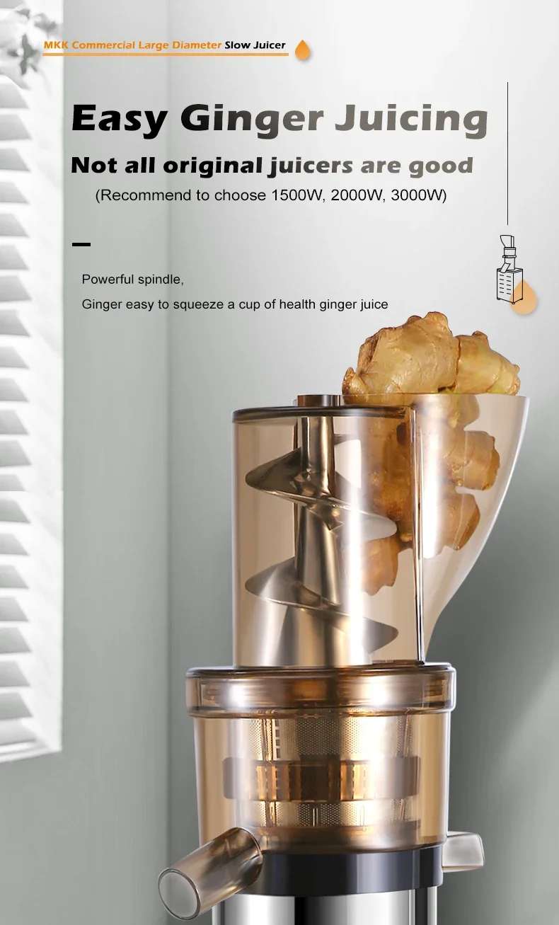 Professionele Juicer Extractor - Cold Press Juicer recensie en prijs